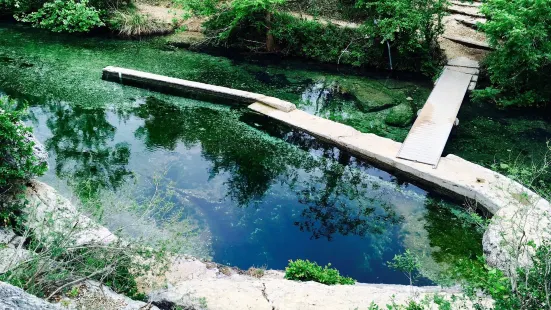 Jacob's Well Natural Area