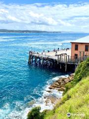 Tathra Memorial Gardens Walk