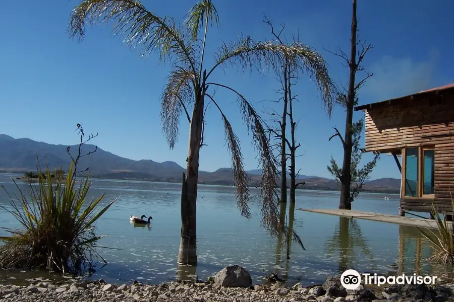 Laguna de Ciudad Guzman