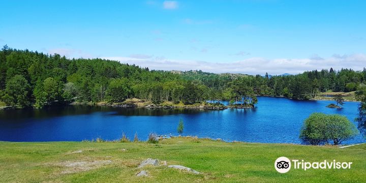 Tarn Hows