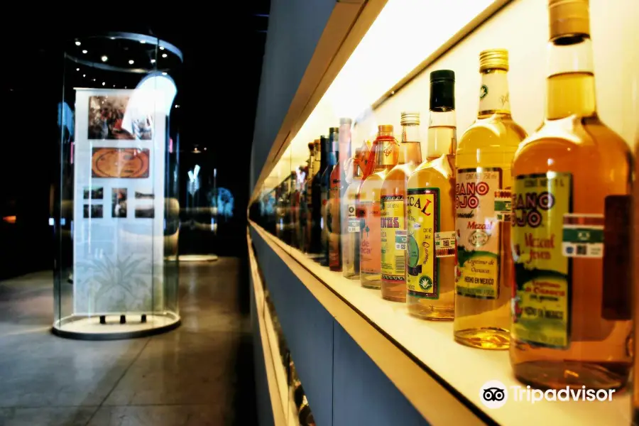 Museo Del Tequilay Mezcal