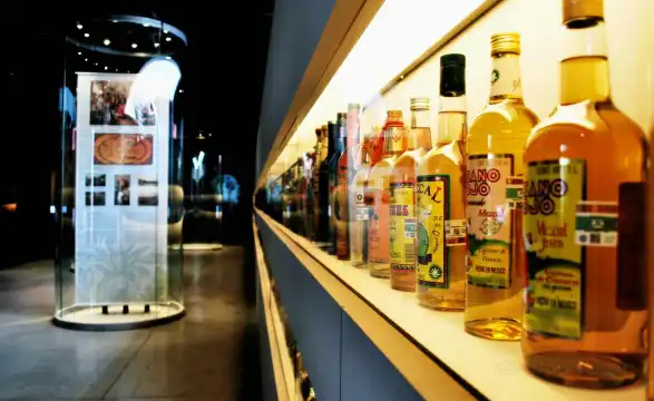 テキーラ・メスカル博物館周辺のホテル