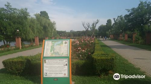 Parcul Herăstrău