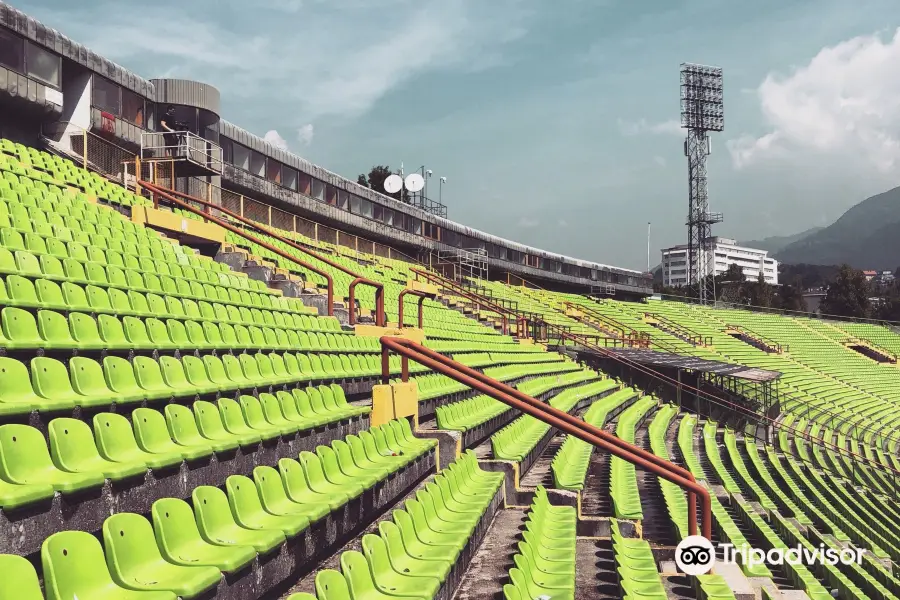 Asim Ferhatović Hase Olympic Stadium