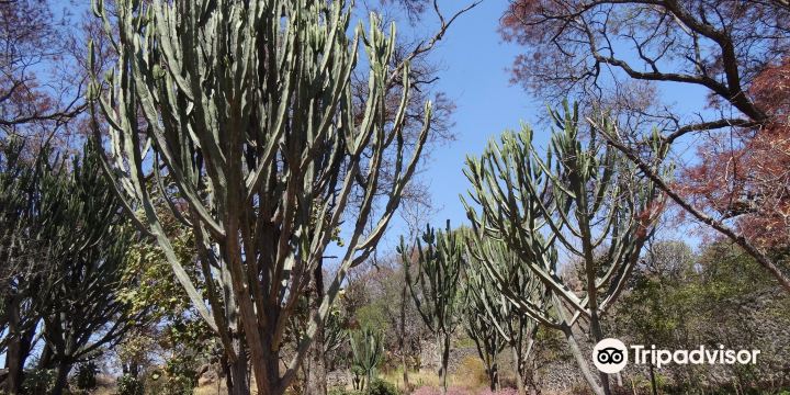 The Hillside Dams Conservancy
