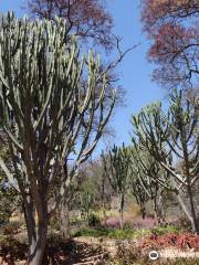 The Hillside Dams Conservancy