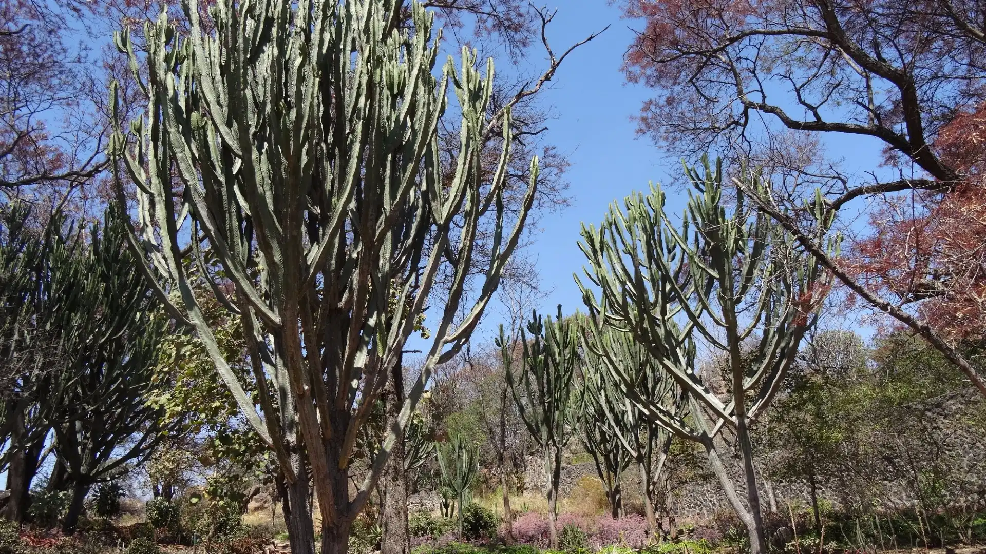 Hotels near The Hillside Dams Conservancy