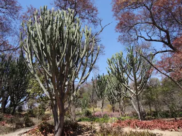 The Hillside Dams Conservancy