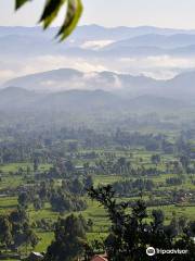 Batwa Trail