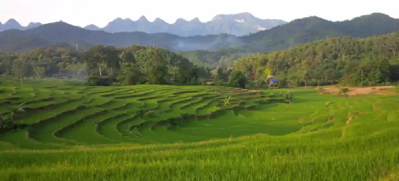 Hotels in Phuong Do