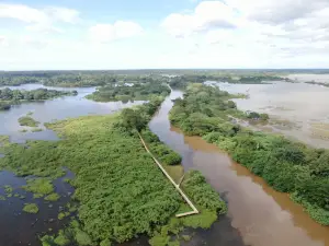 Cano Negro Wildlife Refuge