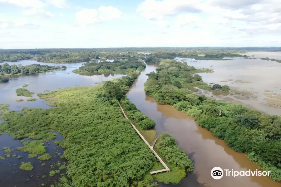 Cano Negro Wildlife Refuge