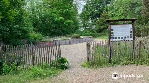 Botanischer Garten