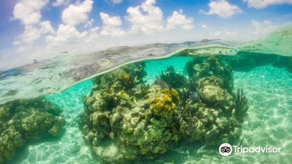 Thành phố Belize