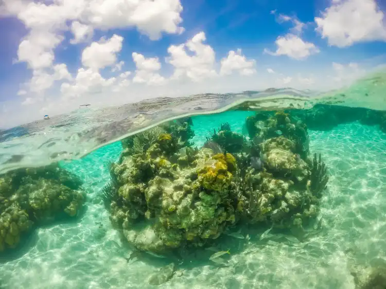 Kota Belize