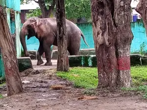 Indore Zoo