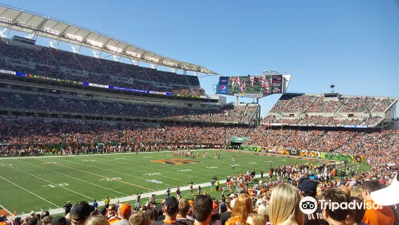 Пейкор Стадиум