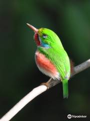 Birdwatching with Paulino Lopez Delgado