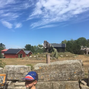 Froso Zoo