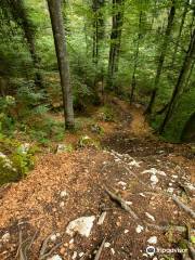 Bike Resort Sinaia