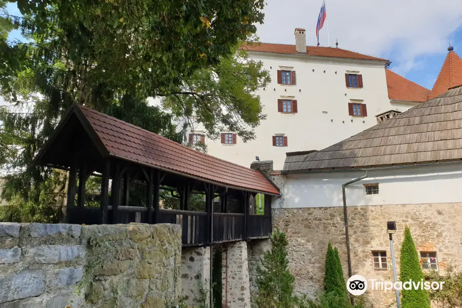 Velenje Castle