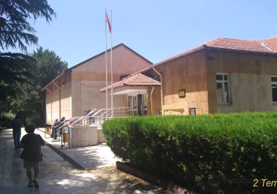 Nigde Museum