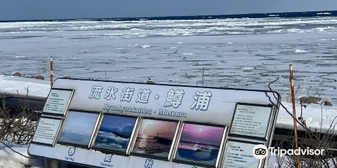 網走海岸