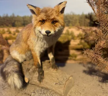 Heinz Sielmann Natur-Erlebniszentrum Wanninchen