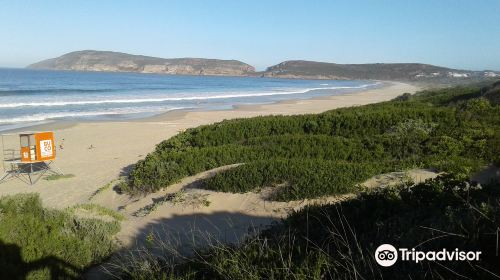 Sanctuary Beach, Plettenberg Bay