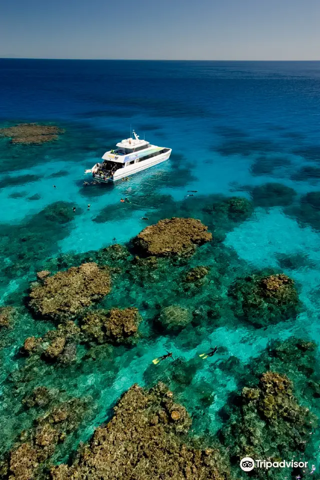 Scuba Diving in Cairns