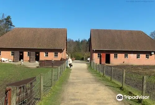 Kinderboerderij Mikerf