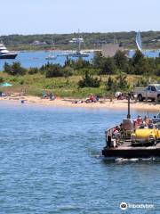 Chappaquiddick Island