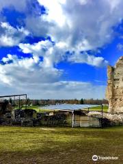 Site archéologique du Vieux-Poitiers