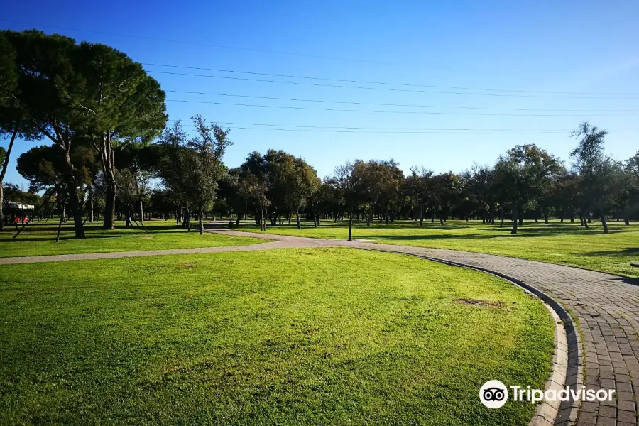 Parque del Alamillo