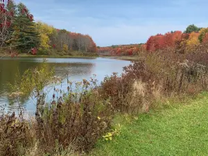 Frances Slocum State Park