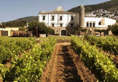 Coll de Roses, Wine Family Museum