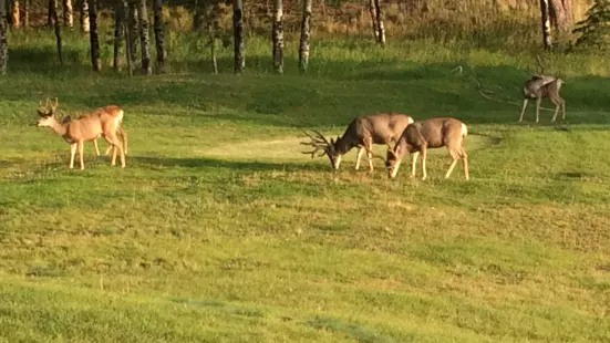 Shining Mountain Golf Course and Event Center