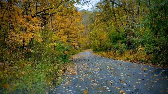 Braddocks Trail Park