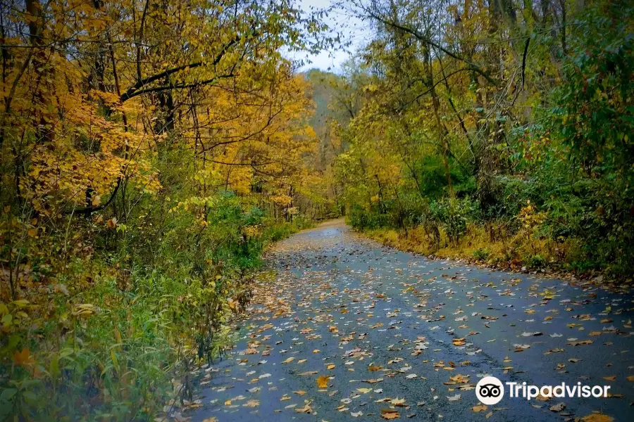 Braddocks Trail Park