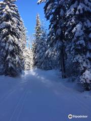 Golden Nordic Ski Club - Dawn Mountain Trails