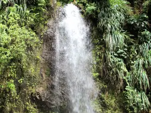 Toraille Waterfall villas and atv