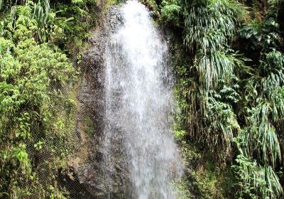 Toraille Waterfall villas and atv