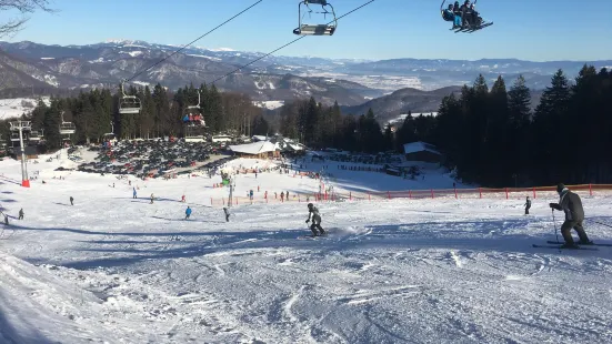 Ski Kraliky