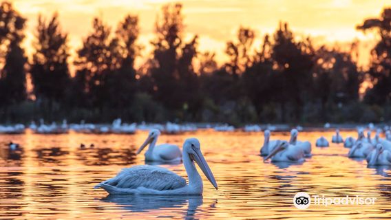 Bosque de San Juan de Aragón