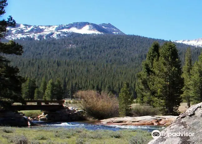 Tuolumne Meadows Bridge