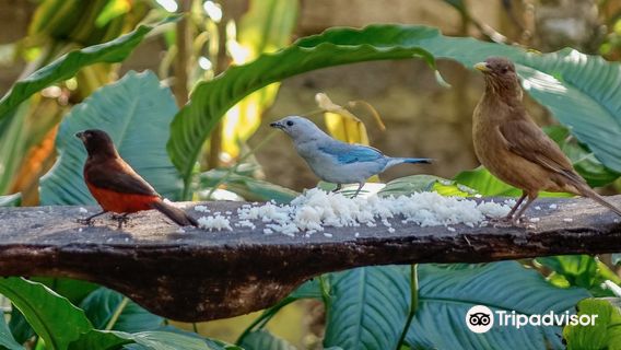 Aprovaca (The Orchid Nursery & Conservation Center)