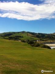 Chisholm Links