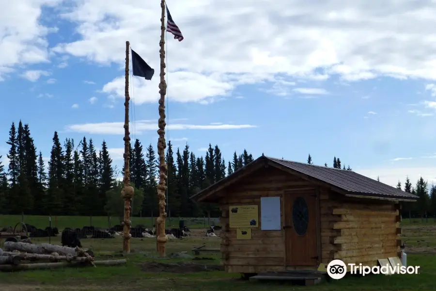 Alaska Yaks