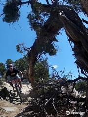 Colorado Backcountry Biker