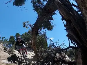 Colorado Backcountry Biker